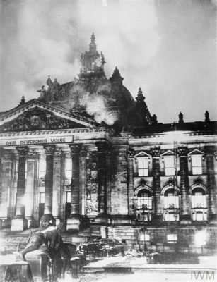 Der Reichstagsbrand; Eine Verschwörung gegen die Weimarer Republik und Adolf Hitler's Aufstieg zur Macht